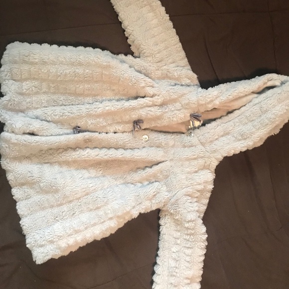 American Widgeon - Picture 5 of 6